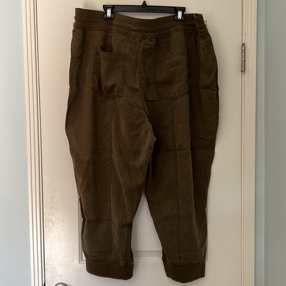 Anthropologie Jogger Pants - 3xl - Picture 6 of 6